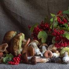 Схема вышивки «грибы»