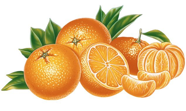 Апельсины - фрукты - оригинал