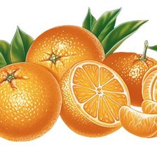 Оригинал схемы вышивки «Апельсины» (№1727987)