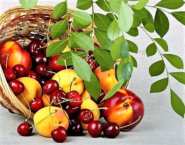 вишня и персики - фрукты, фото, натюрморт - оригинал