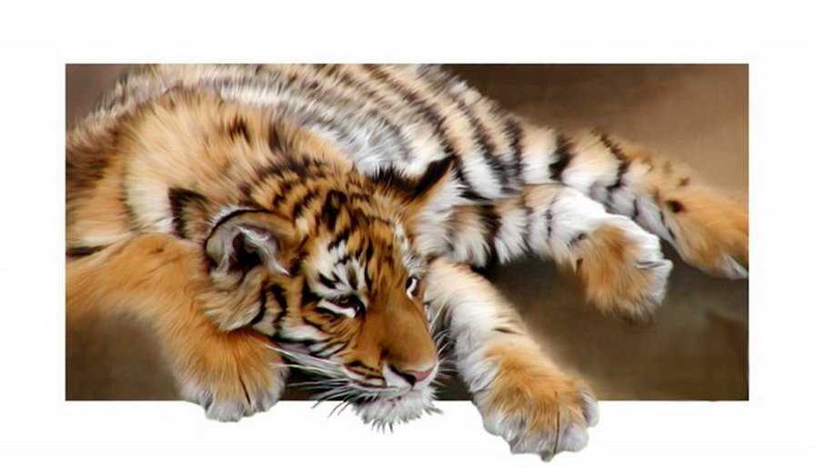 №1728638 - тигр хищник - оригинал