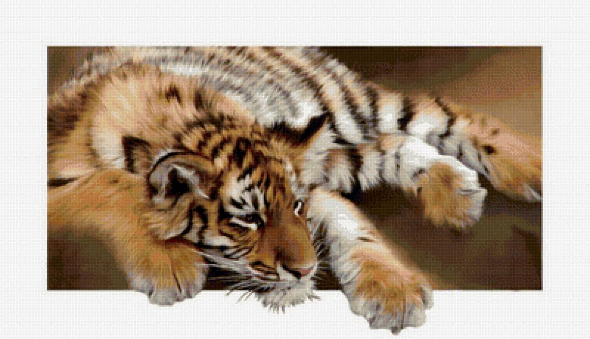 №1728638 - тигр хищник - предпросмотр
