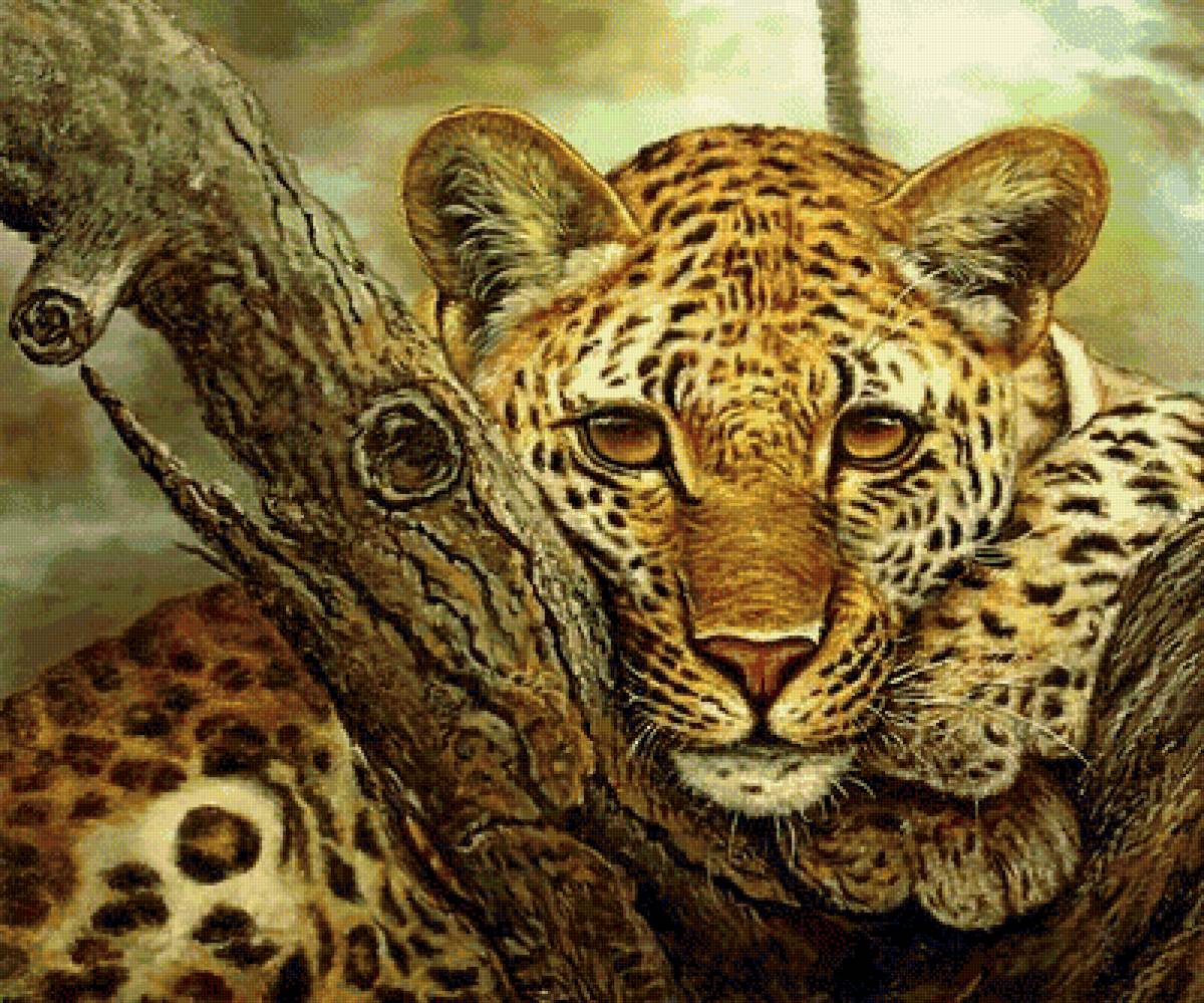 мир животных - предпросмотр