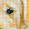 Предпросмотр схемы вышивки «№1729881»
