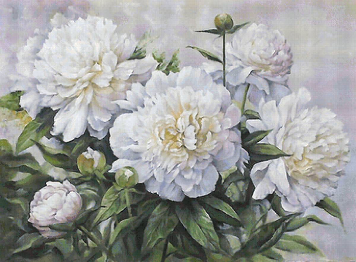 №1730050 - предпросмотр