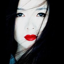 Схема вышивки «Мемуары гейшы»