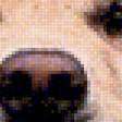 Предпросмотр схемы вышивки «пес» (№1731781)