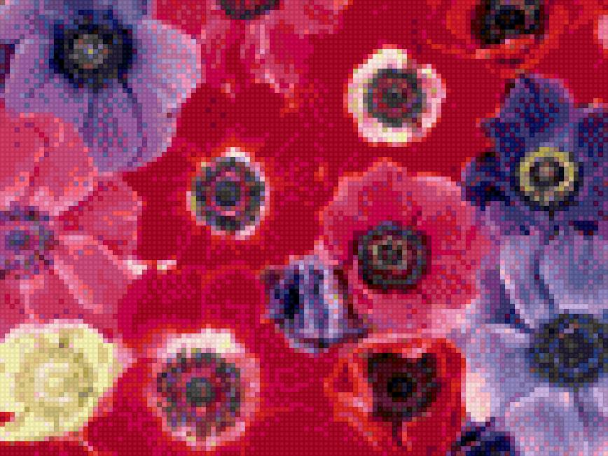 цветы красы - предпросмотр