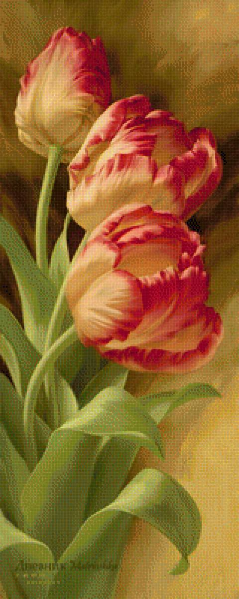 тюльпаны - предпросмотр
