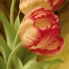 Схема вышивки «тюльпаны»