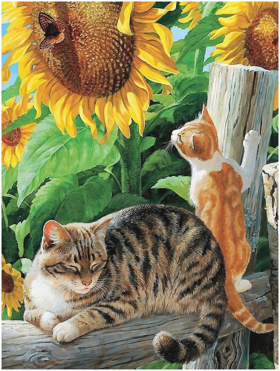 коты - коты - оригинал