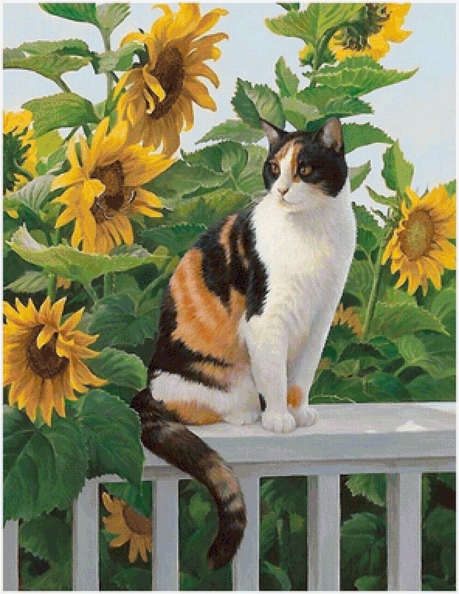 кошка - кошка - предпросмотр