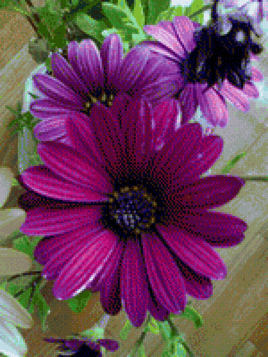 Мамин сад цветов - цветы - предпросмотр