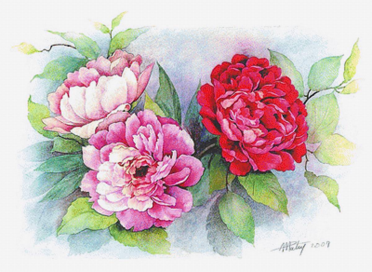 Натюрморт. - цветы. натюрморт. живопись. - предпросмотр