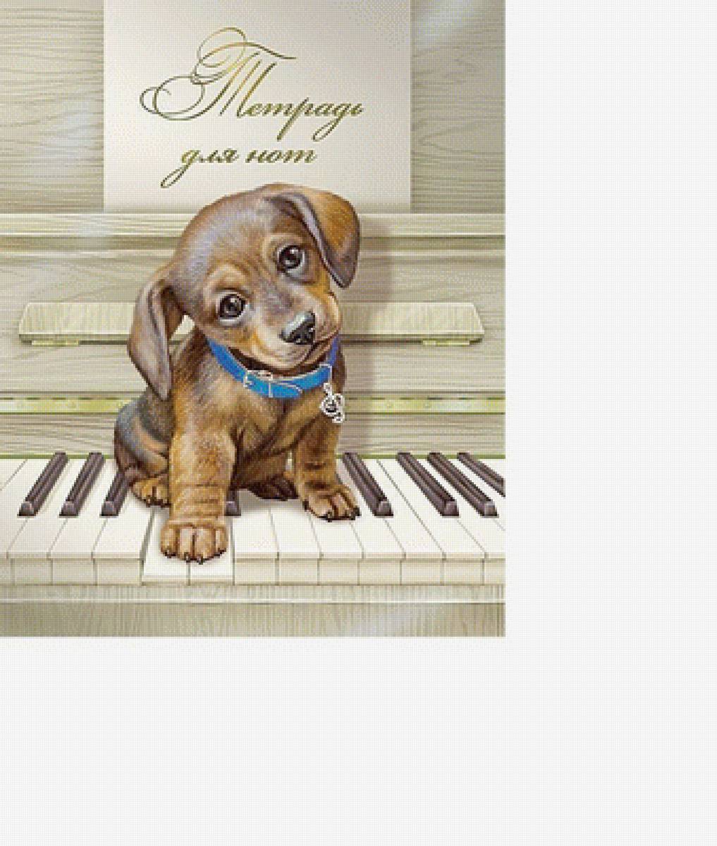 щенок музикант - щенок - предпросмотр