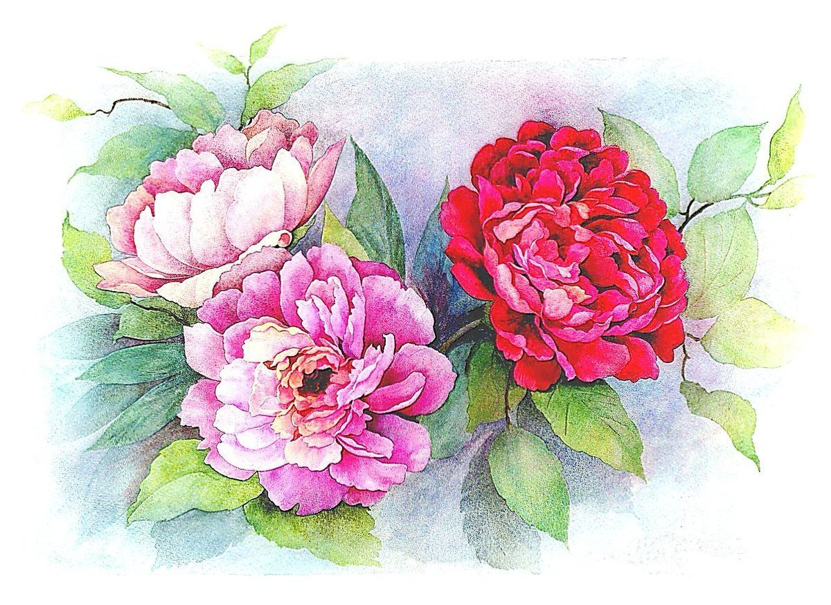 букет - оригинал