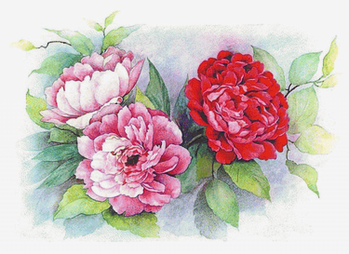 букет - предпросмотр