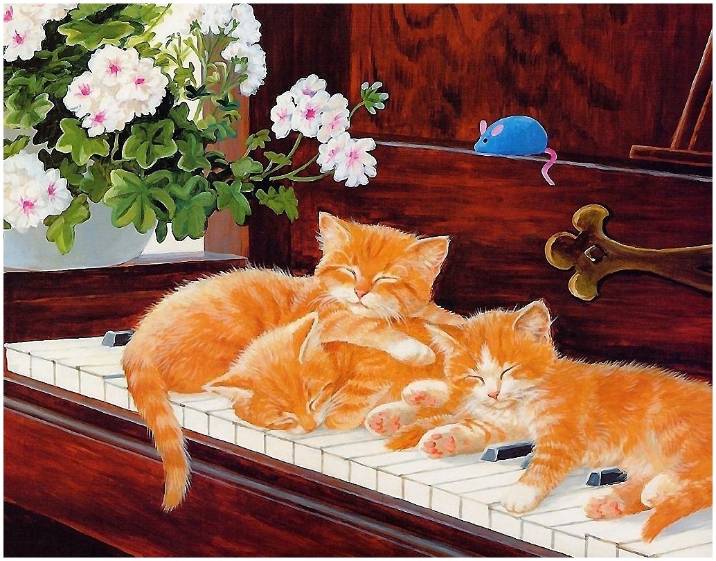 котята - котята - оригинал