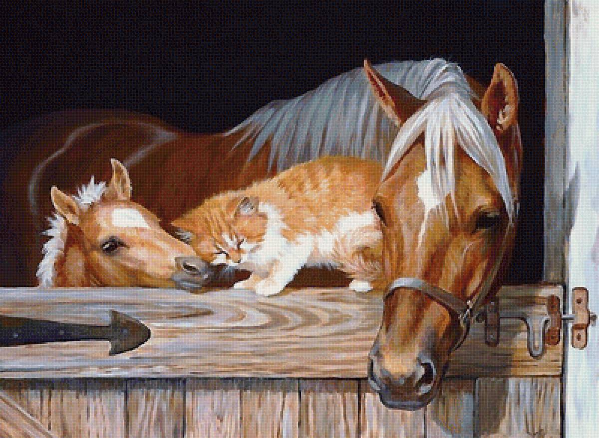 друзья - друзья - предпросмотр