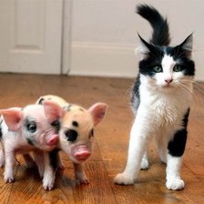 Схема вышивки «друзя»