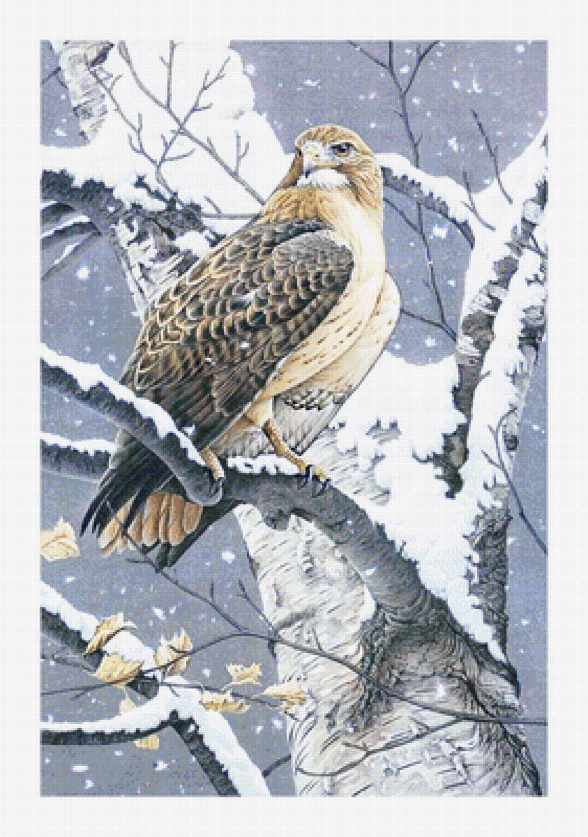 Серия "Птицы" - птицы, фауна - предпросмотр