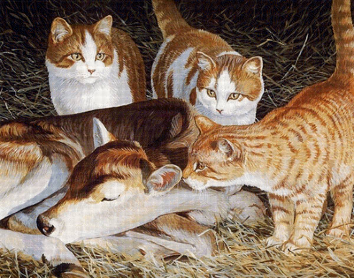 друзья - друзья - предпросмотр