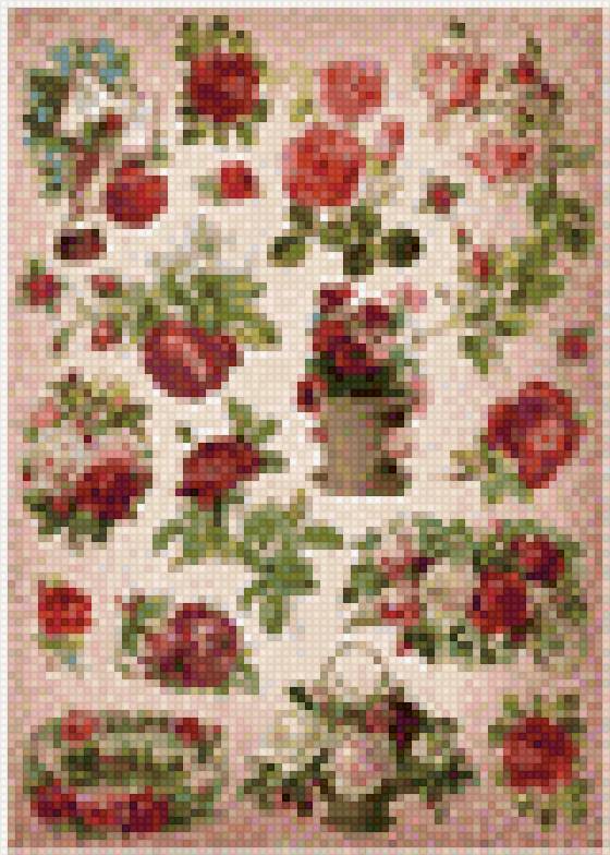 мой любимые цветы - предпросмотр