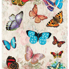 Оригинал схемы вышивки «бабочки» (№1734233)