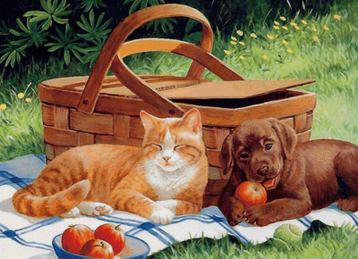 друзья - друзья - предпросмотр