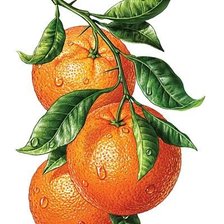 Схема вышивки «№1734815»