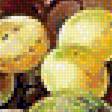 Предпросмотр схемы вышивки «Осенний натюрморт.» (№1734870)