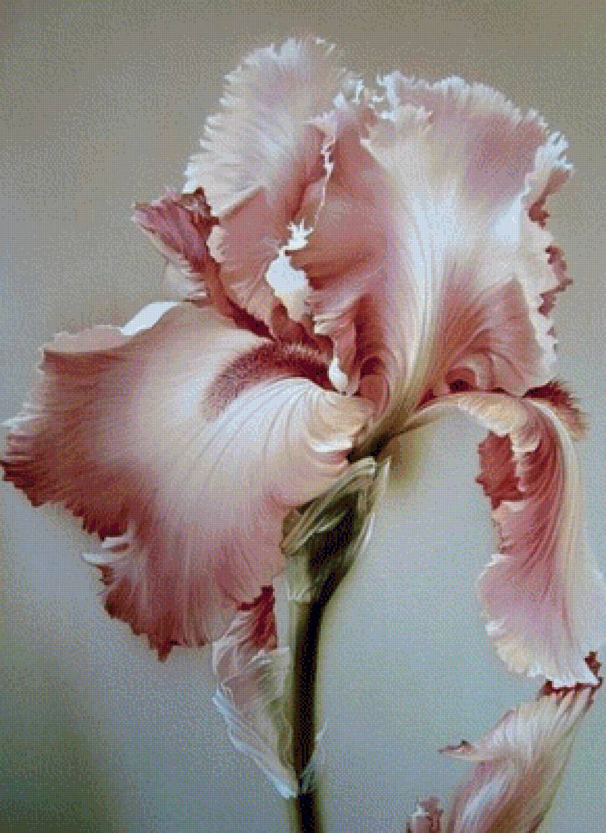 №1735117 - предпросмотр