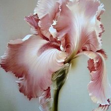 Схема вышивки «№1735117»