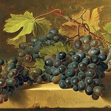 Схема вышивки «Натюрморт.»