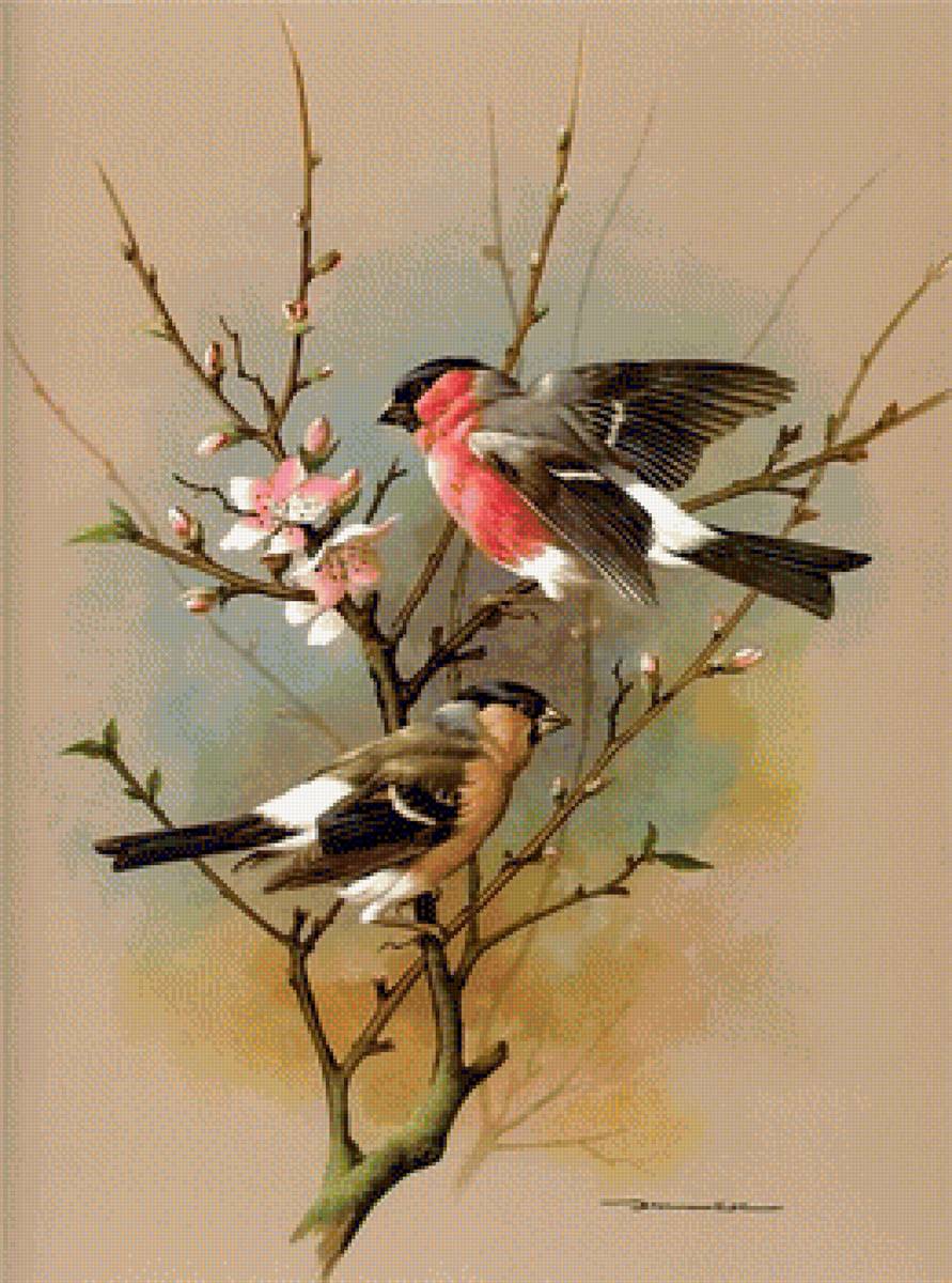 gile - предпросмотр