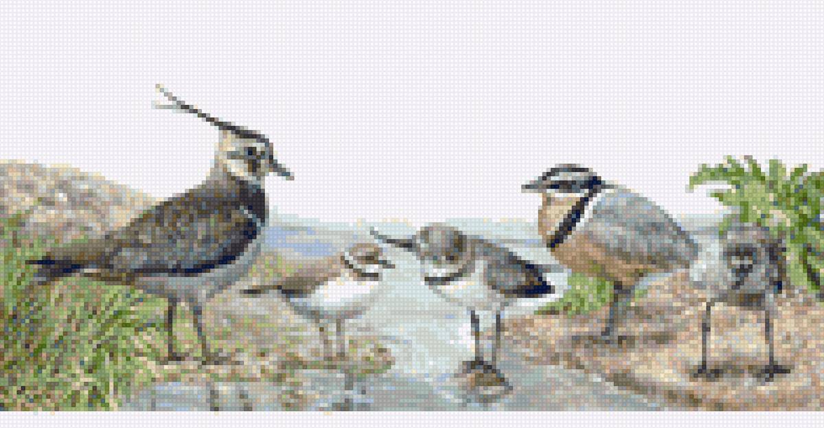 птички - предпросмотр