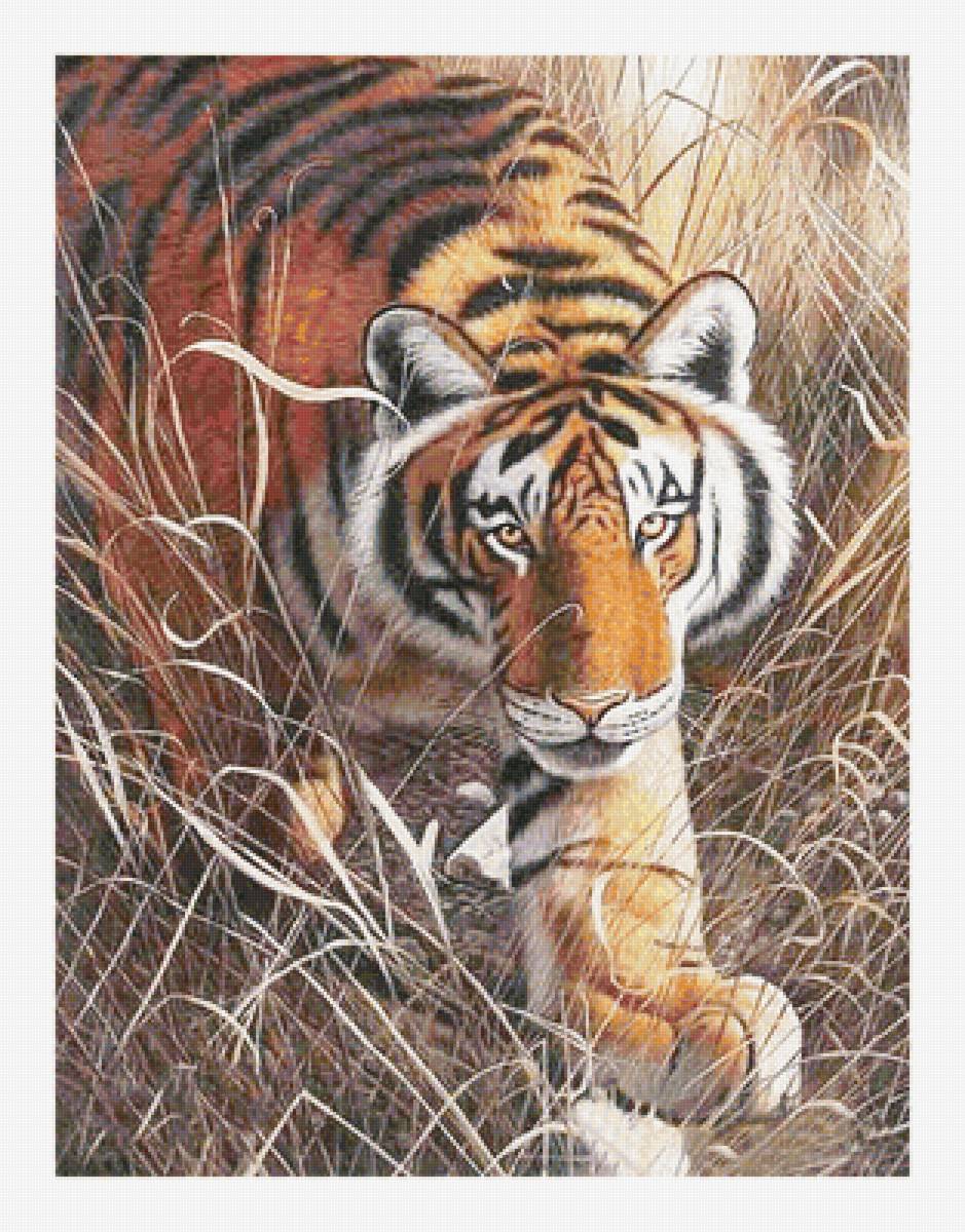 Серия "Хищники". Тигр - животные, фауна, тигр - предпросмотр