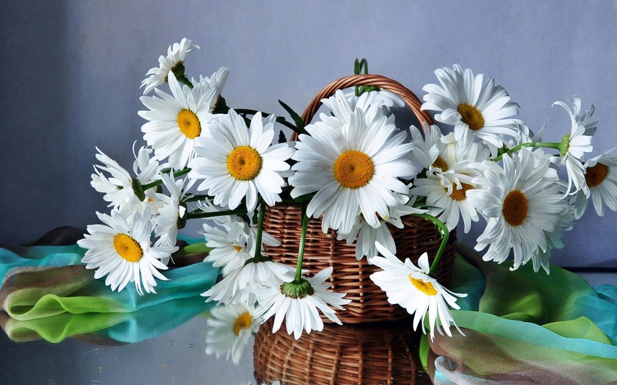 ромашки - букет, цветы, ромашки - оригинал