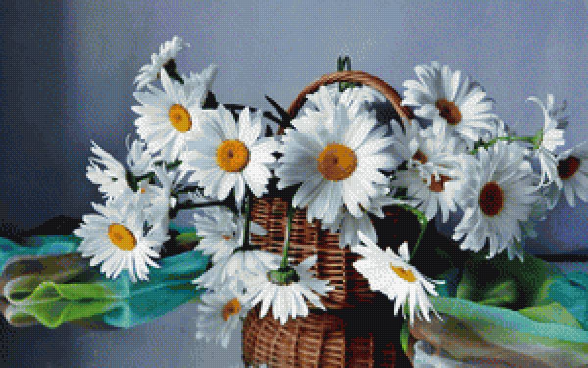 ромашки - букет, цветы, ромашки - предпросмотр