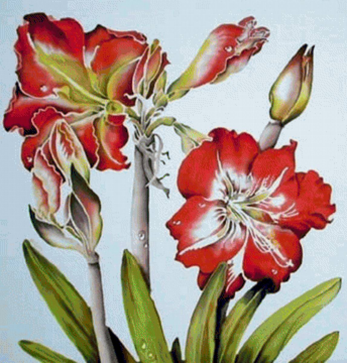 №1735983 - предпросмотр