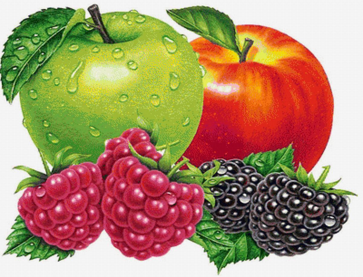 Ягоды-фрукты - фрукты, ежевика, плоды, ягоды, роса, яблоки, малина - предпросмотр