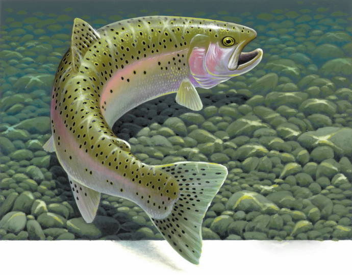 Рыба - рыба - оригинал