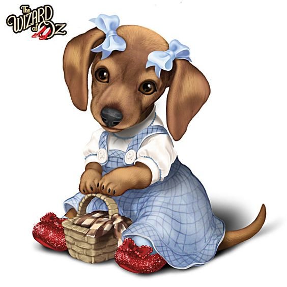 Собаки - животные - оригинал