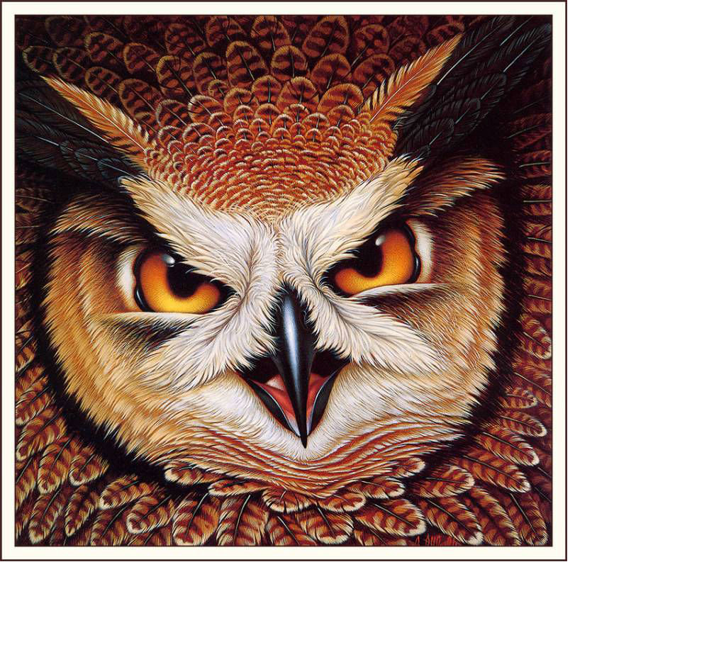 Филин - птицы - оригинал