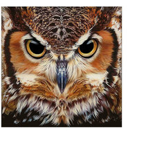 Схема вышивки «Сова»