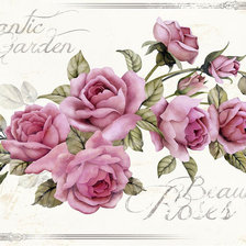 Схема вышивки «розы»