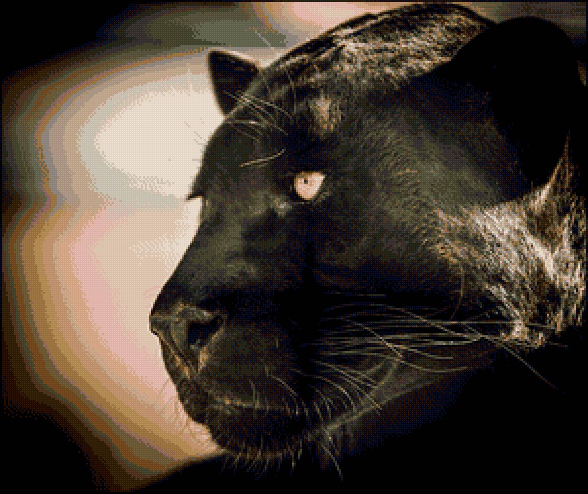 День Пантеры - предпросмотр