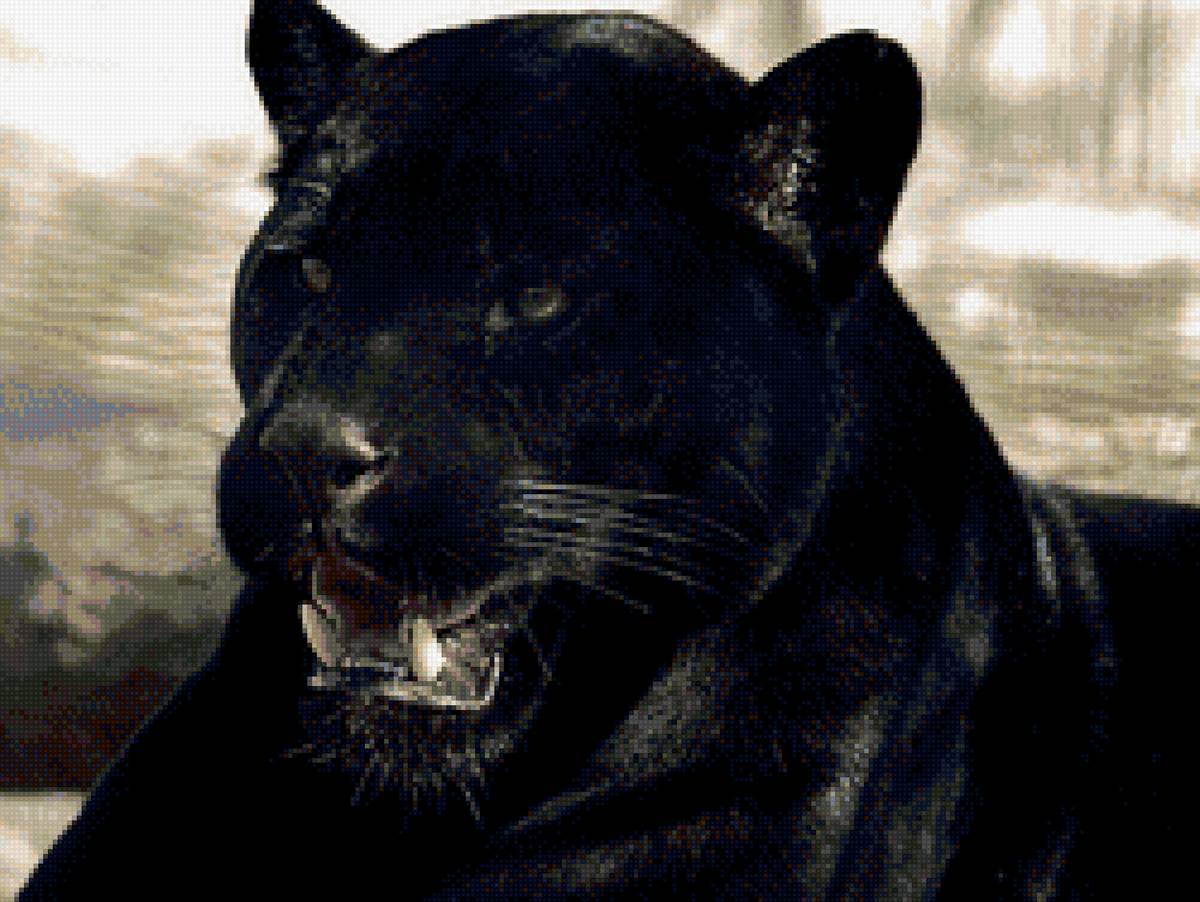 Привет Пантеры - предпросмотр