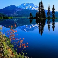 Схема вышивки «№1738084»