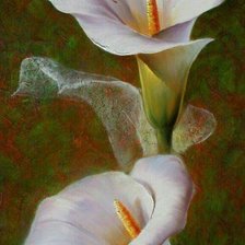 Схема вышивки «№1738302»